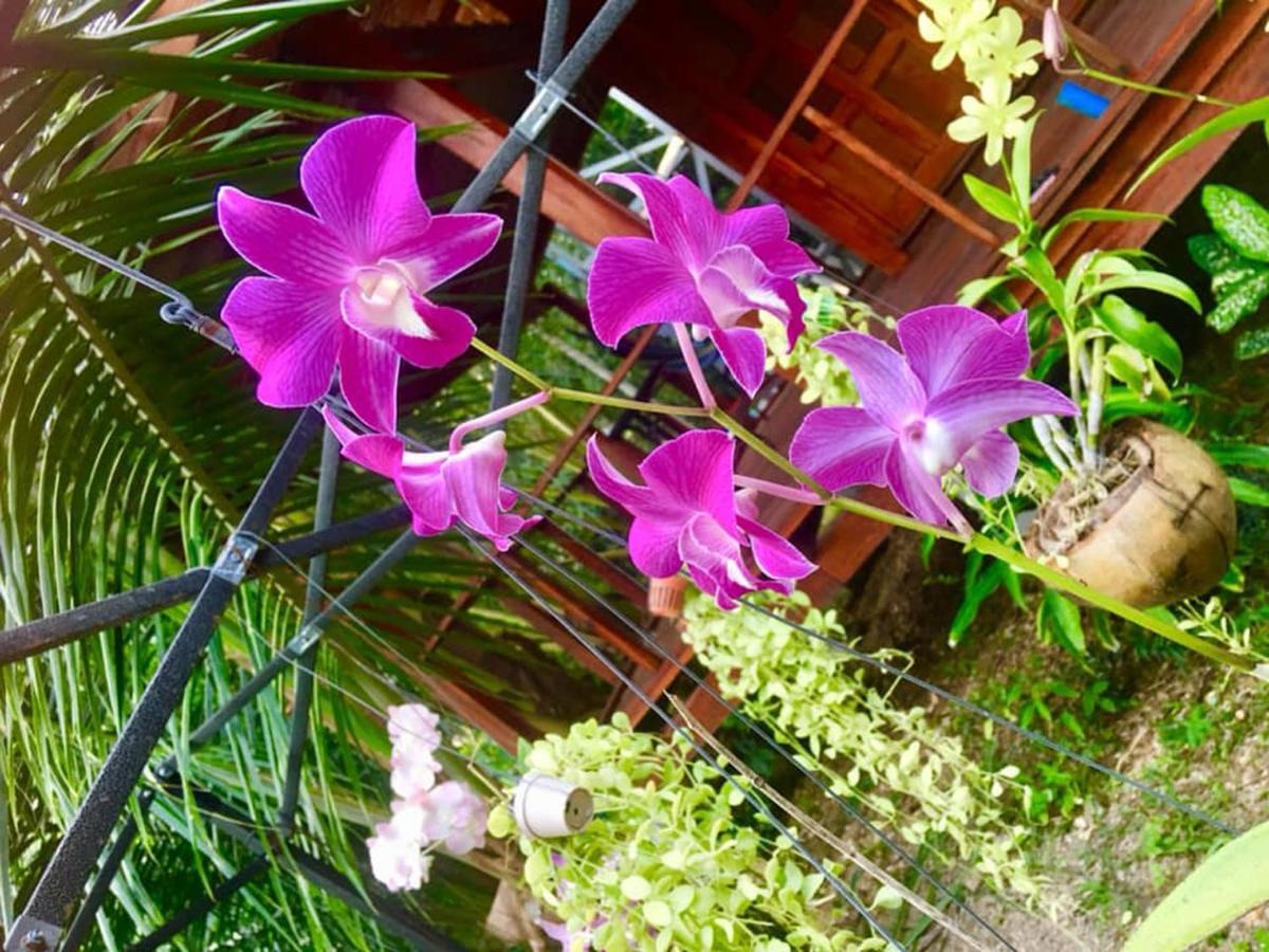 Lanta A Toi House Hotel Ko Lanta Екстериор снимка