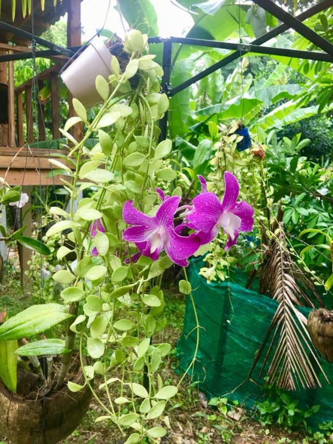 Lanta A Toi House Hotel Ko Lanta Екстериор снимка