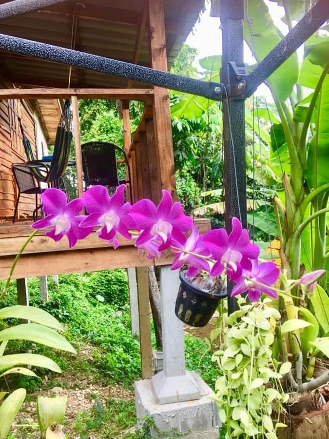 Lanta A Toi House Hotel Ko Lanta Екстериор снимка